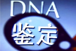 内蒙古怀孕亲子鉴定流程是怎样的呢，内蒙古专业孕期亲子鉴定机构去哪
