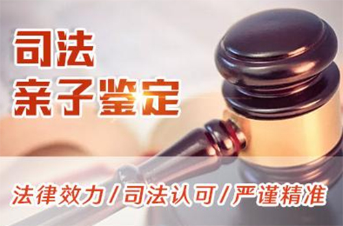 营口司法DNA亲子鉴定去哪里办理,营口司法DNA亲子鉴定出结果要多久