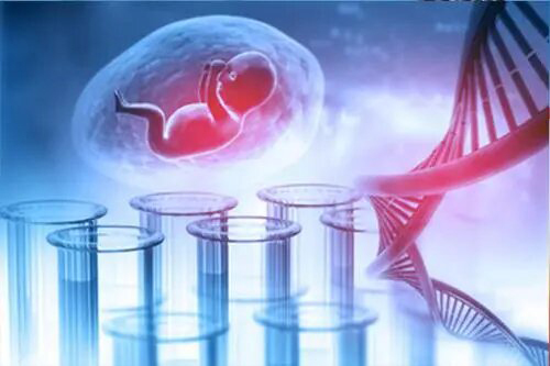 吉林怀孕要如何办理血缘检测,吉林办理怀孕亲子鉴定需要什么手续