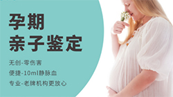 河北如何办理产前亲子鉴定
