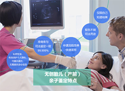 辽宁怀孕了需要怎么办理亲子鉴定，辽宁孕期做亲子鉴定流程是什么