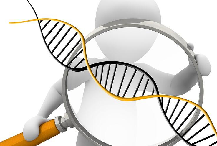 丹东产前亲子鉴定大概价格,丹东怀孕亲子鉴定需要怎么做